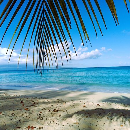 Kaz A Klemence Gite Creole Avec Piscine Et Table Dhotes A Anse Bertrand エクステリア 写真