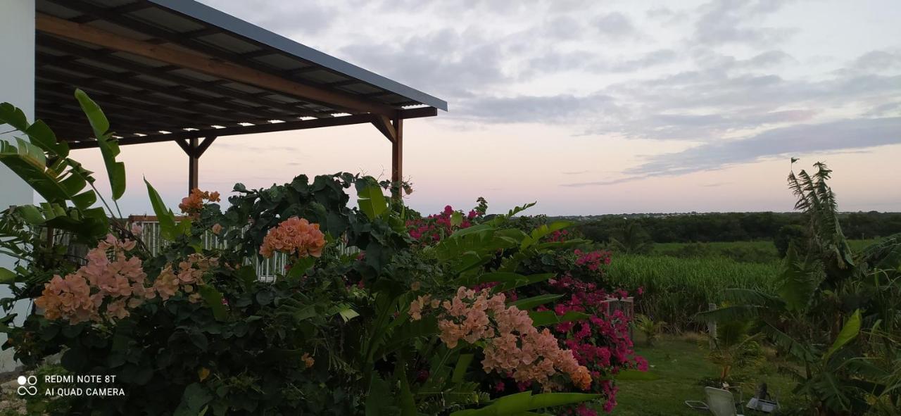 Kaz A Klemence Gite Creole Avec Piscine Et Table Dhotes A Anse Bertrand エクステリア 写真