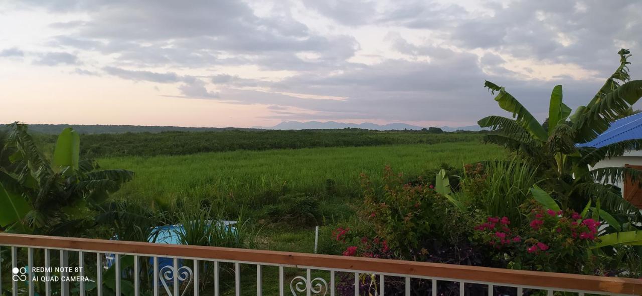 Kaz A Klemence Gite Creole Avec Piscine Et Table Dhotes A Anse Bertrand エクステリア 写真