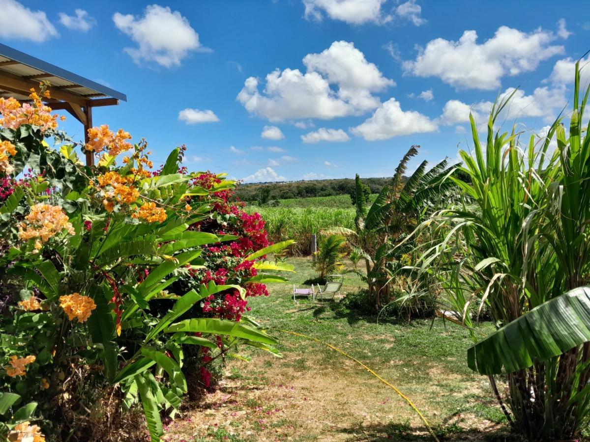 Kaz A Klemence Gite Creole Avec Piscine Et Table Dhotes A Anse Bertrand エクステリア 写真
