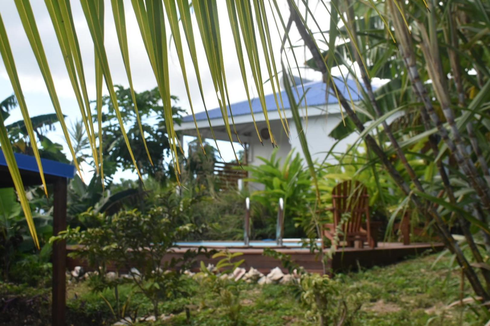 Kaz A Klemence Gite Creole Avec Piscine Et Table Dhotes A Anse Bertrand エクステリア 写真