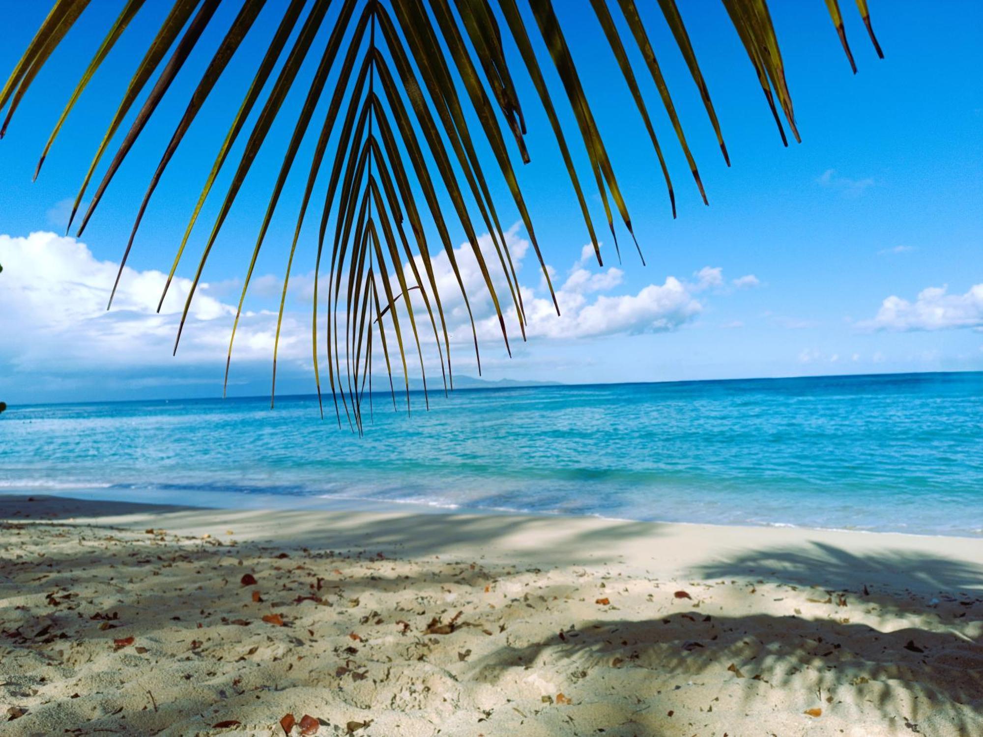 Kaz A Klemence Gite Creole Avec Piscine Et Table Dhotes A Anse Bertrand エクステリア 写真